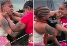 When Street Fights Get Weird: The Day Pink Shorts Girl Got Bitten Instead of Beaten